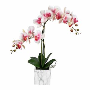 22 in. Pink and White Artificial Phalaenopsis Orchid Floral Arrangement in Pot