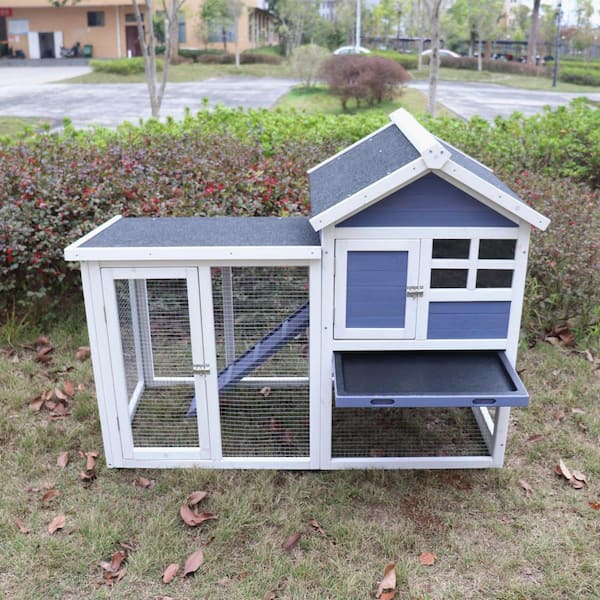 Animal Hutches Foxglove Guinea Pig And Rabbit Hutch Pets At Home