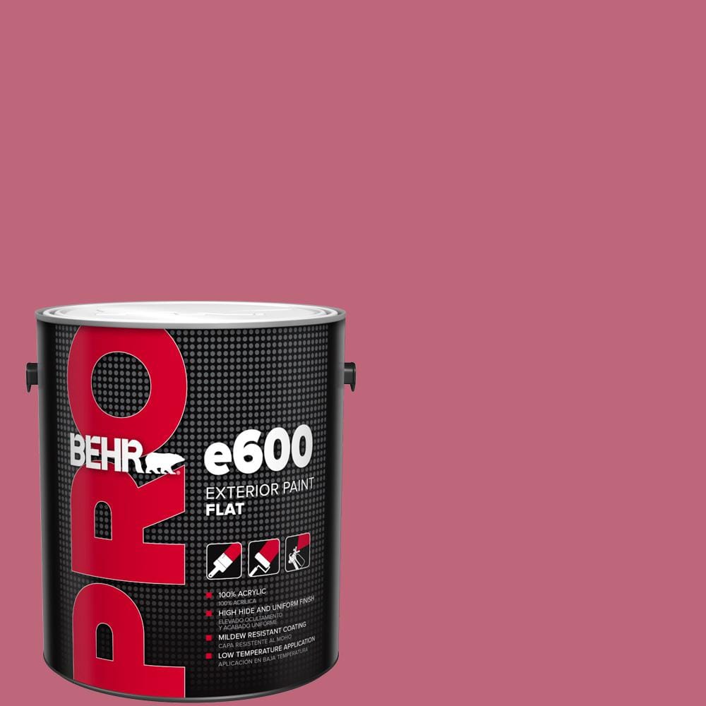 1 gal. #120D-4 Mulberry Flat Exterior Paint price history on PriceWatchPro
