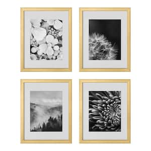 11" x 14" Matted to 8" x 10" Gold Gallery Wall Picture Frames (Set of 4)