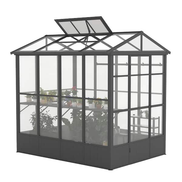 8 ft. W x 6 ft. D x 8 ft. H Outdoor Black Aluminum Frame Polycarbonate Greenhouse with Vent