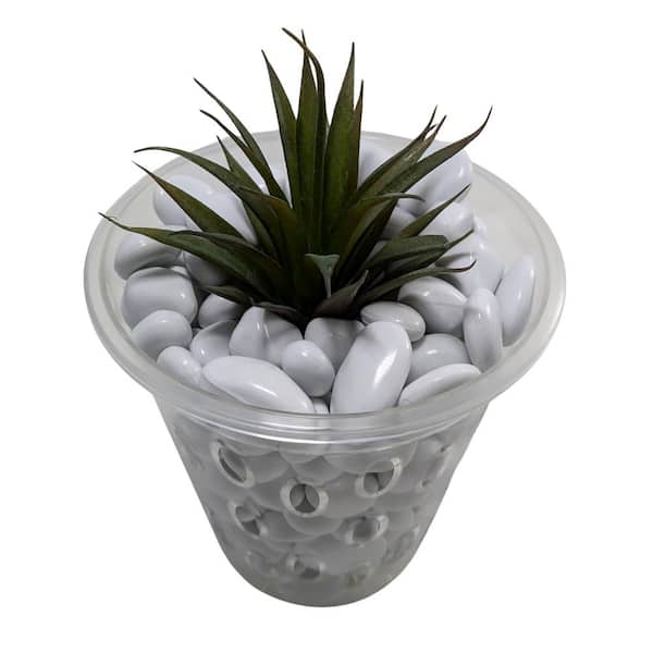 Stewart Plastics - Sottovaso Per Orchidea Trasparente ⌀ 13 Cm, In Plastica, 18,5 Cm