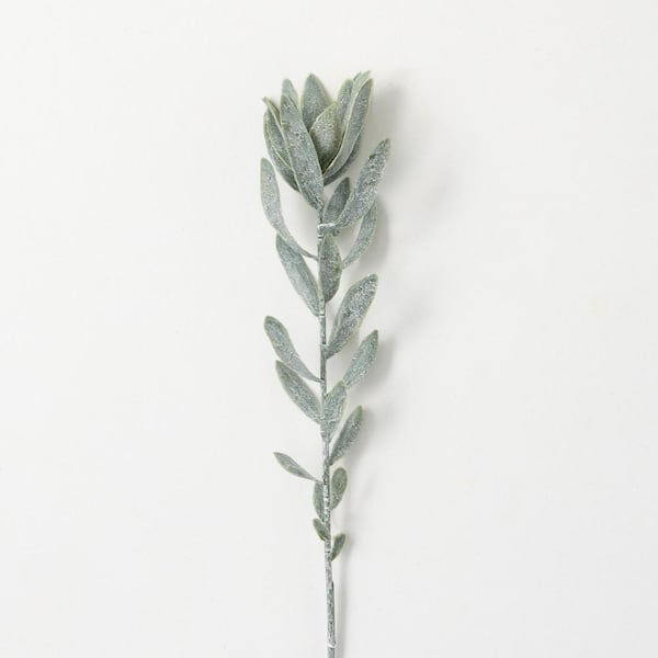 SULLIVANS 29 in. Artificial Subtle Dark Green Protea Spray