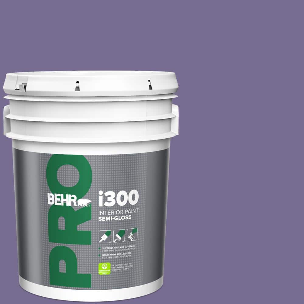 5 gal. #650D-6 Purple Silhouette Semi-Gloss Interior Paint price history on PriceWatchPro