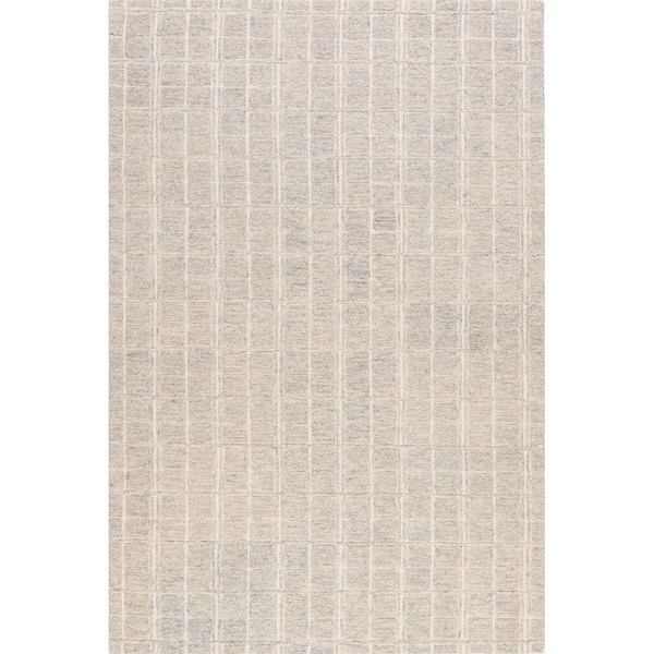 Camellia Checkered Wool Area Blue Grey 4 ft. x 6 ft. Indoor Area Rug