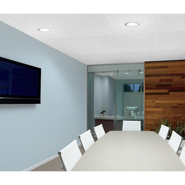 Random Textured 2 ft. x 4 ft. Lay-in Ceiling Tile (32 sq. ft / case)