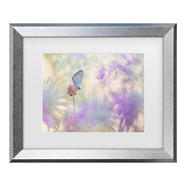 Henrik Spranz Pulsatilla Meadow Matted Framed Photography Wall Art 19.5 in. x 23.5 in