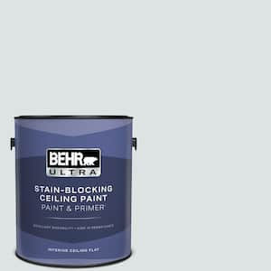 1 gal. #MQ3-27 Etched Glass Ceiling Flat Interior Paint and Primer