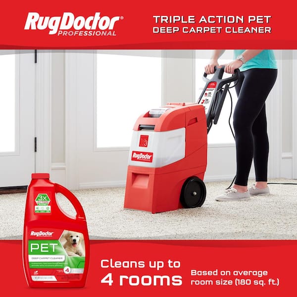 Rug Doctor  DIY Carpet Cleaning vs Professional Carpet Cleaners