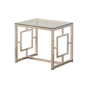 23.75 in. Silver and Clear Rectangle Glass End Table with Lattice Cut Out Panels