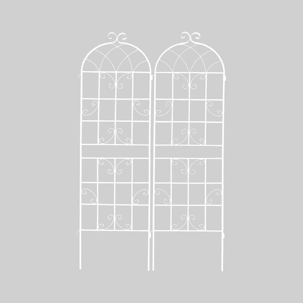 71 in. 2-Pack Metal Garden Trellis Rustproof Trellis for Climbing Plants Outdoor Flower Support, White price history on PriceWatchPro
