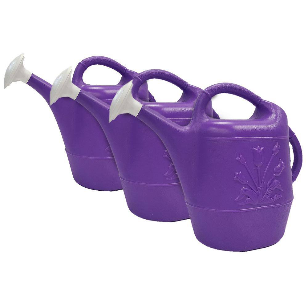 UNION PRODUCTS 2 Gal. Indoor/Outdoor Plant Watering Can, Purple (3-Pack ...