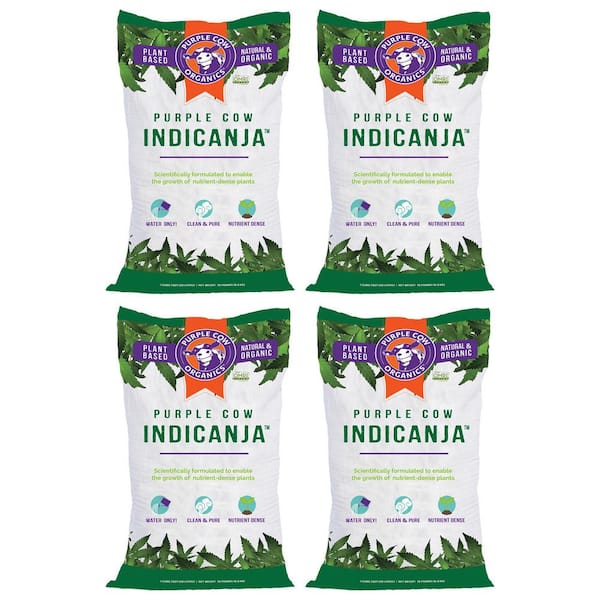 PURPLE COW ORGANICS IndiCanja Organic Living Plant Based Compost Soil (4-Pack)