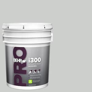 5 gal. #N460-2 Planetary Silver Eggshell Interior Paint