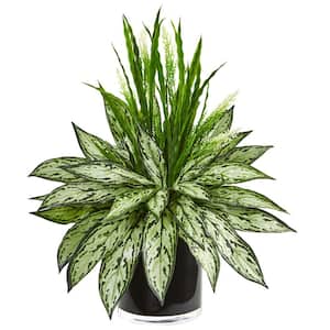 Indoor Silver Queen and Grass Artificial Plant in Black Vase