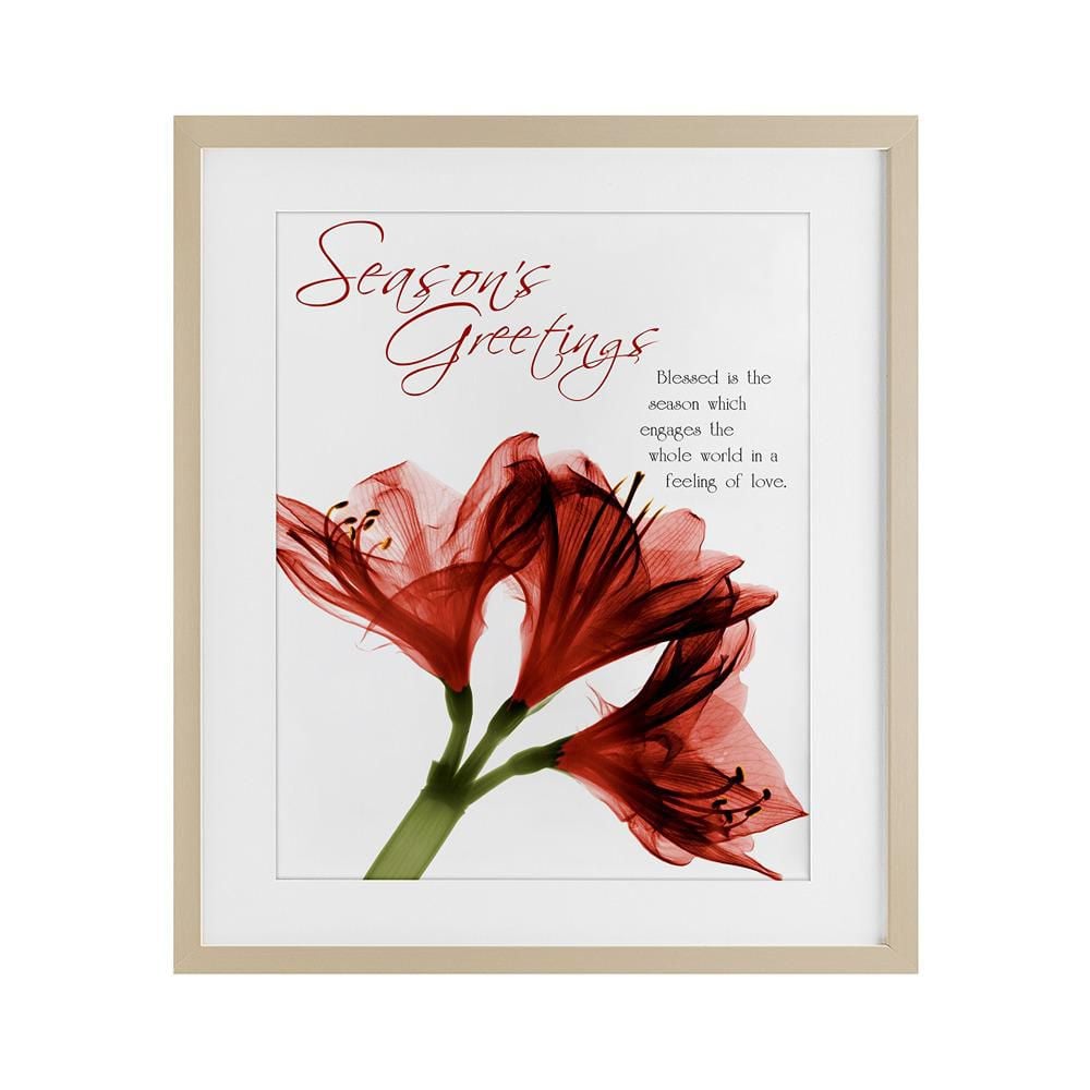 Season's Greetings Holiday Amaryllis by Albert Koetsier Framed Graphic Art Print Typography 21 in. x 17 in. price history on PriceWatchPro