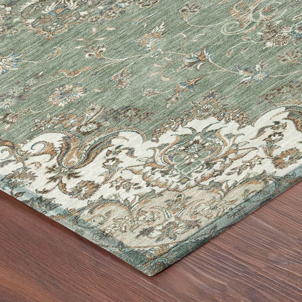 Chantille Machine Washable Indoor/Outdoor Abstract ACN2495 Sage 3 ft. x 5 ft. Area Rug
