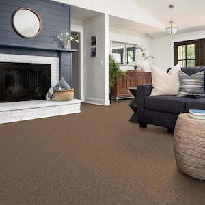 Alpine - Insight - Brown 17.3 oz. Polyester Texture Installed Carpet