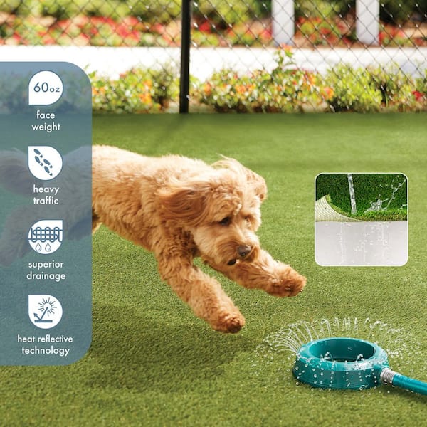 Premium Pet Turf 12 ft. Wide x Cut to Length Green Artificial Grass Turf