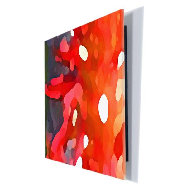 Trademark Fine Art 18 in. x 24 in. "Red Sun" by Amy Vangsgard Printed Acrylix Wall Art
