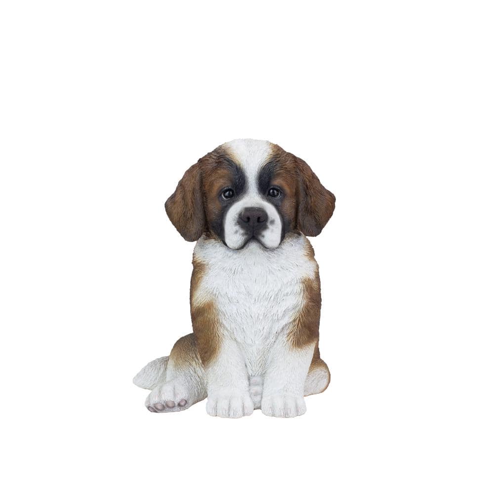 SoReal White & Brown Saint Bernard price history on PriceWatchPro