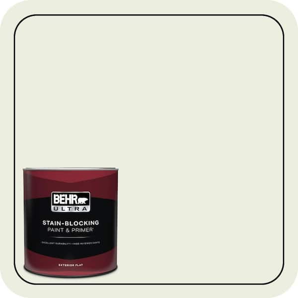 1 Qt. #420E-1 Hemlock Bud Flat Exterior Paint & Primer