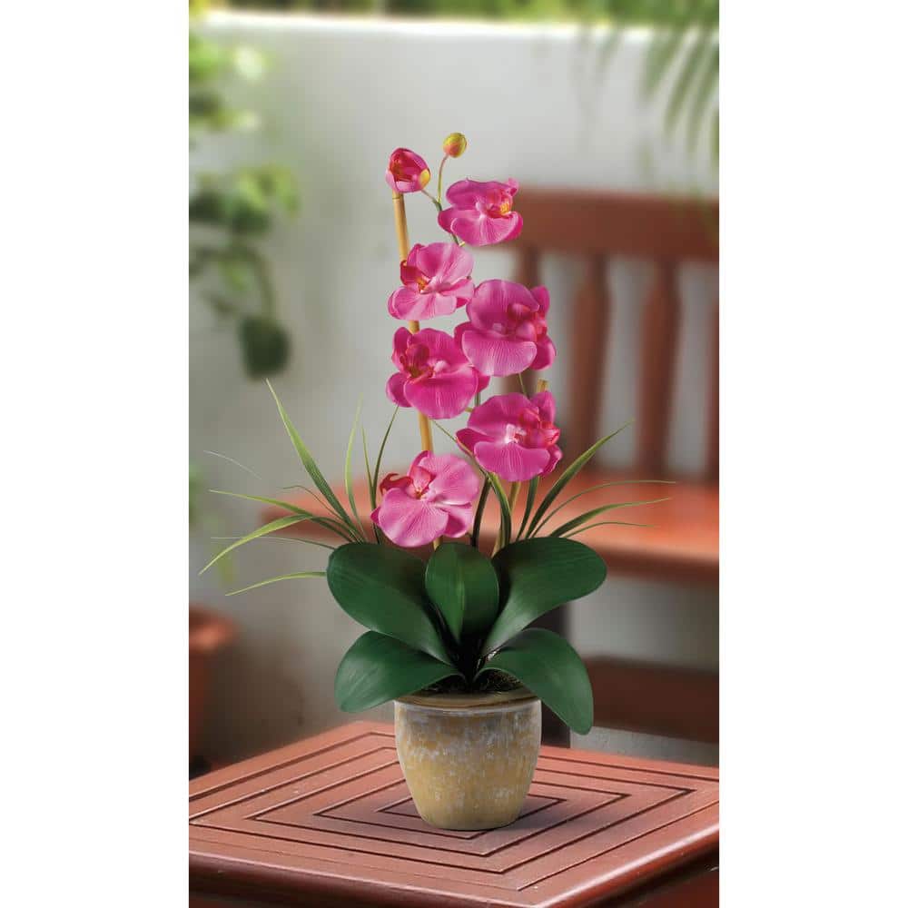 Dark Pink Silk Phalaenopsis Orchid in Ceramic Pot