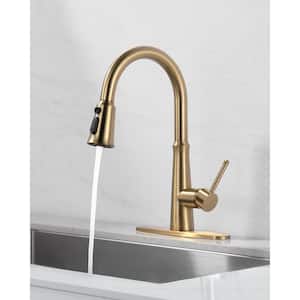Single Handle Pull-Down Sprayer Kitchen Faucet Stainless Steel with Deckplate Included in Gold