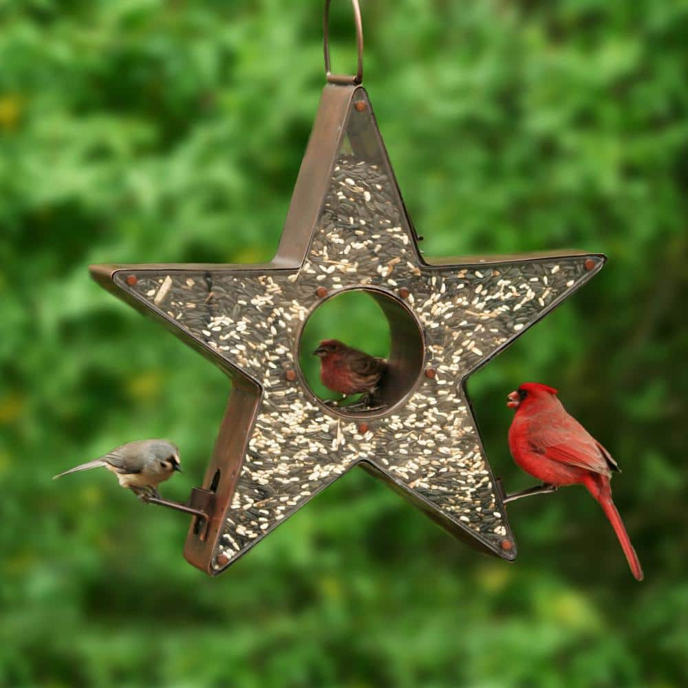 Copper Star-Shaped Hanging Bird Feeder with Plexiglass Panels