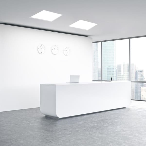 40-Watt 2 ft. T12 G13 Linear U-Bend Fluorescent Tube Light Bulb, Cool White 4100K (1-Pack)