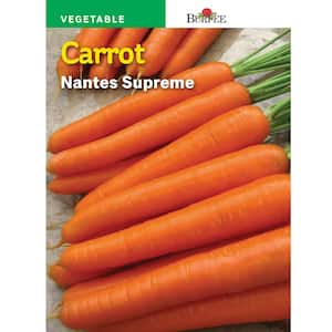 Carrot Nantes Supreme Seed