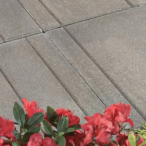 Avant 16 in. W x 16 in. L x 2 in. H Slate Blend Concrete Paver (72-Pieces/124 sq. ft./Pallet)