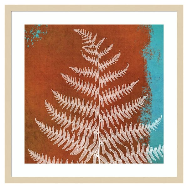 Amanti Art Fern Abstract Study II by Dianne Poinski 1 Piece Framed Giclee Nature Art Print 25 in. x 25 in.