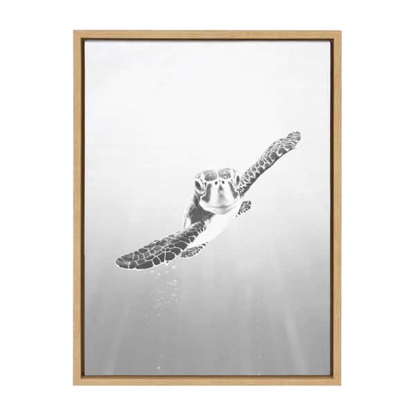 Kate and Laurel Sylvie "Sea Turtle" by Simon Te of Tai Prints Framed Canvas Animal Wall Art 24 in. x 18 in.