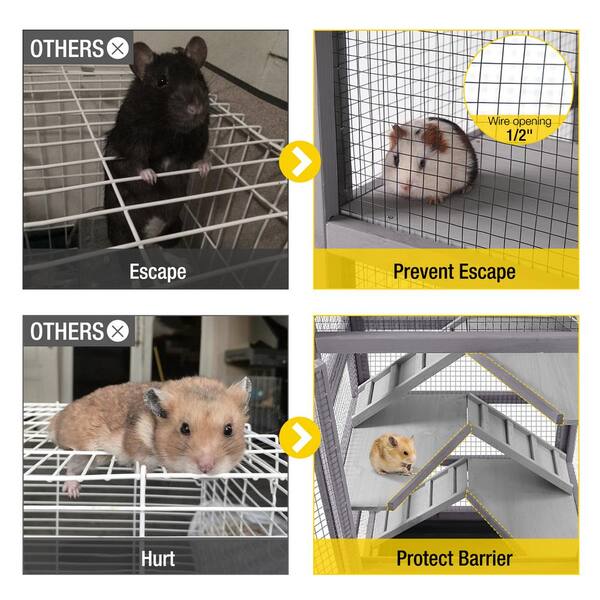 Pets Radar - Five hamster breeds: which furry friend is right for you?
