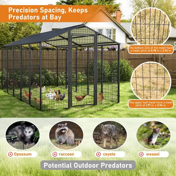 10.5 ft. x 6.2 ft. Outdoor Large Dog Kennel, Chicken Pen with Galvanized Metal Roof for Medium and Large Dogs