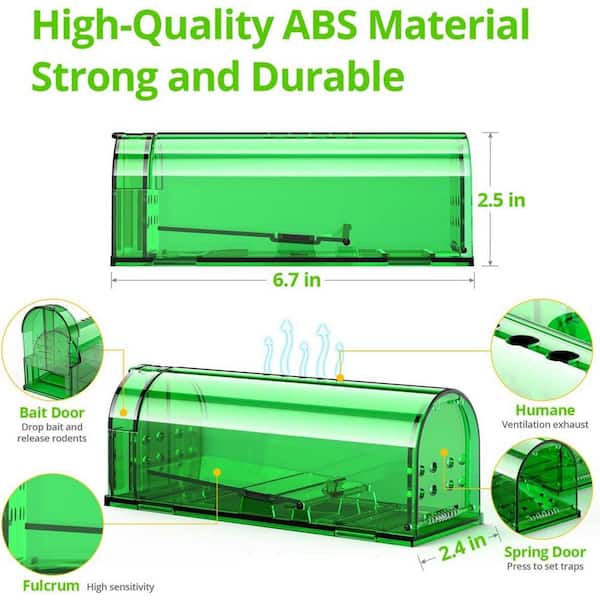 Monoha ダークグリーン ベスト ラップトップ Super Green Hair Healing Semi Permanent Color | Bond Building