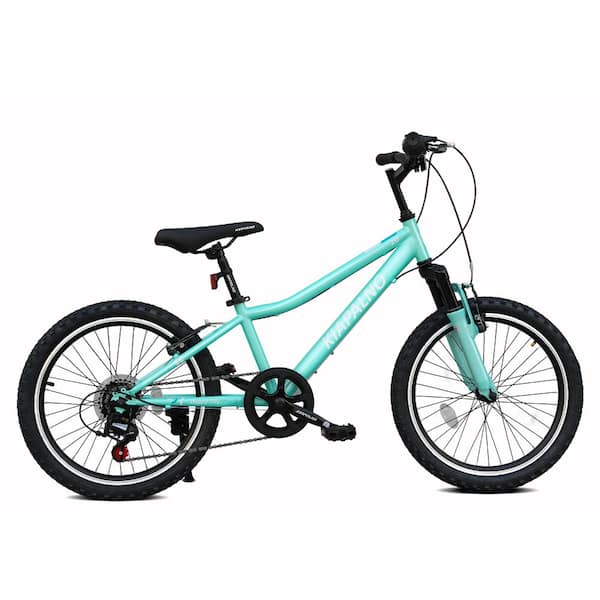 Green 20 Inch 7-Speed Mountain Bike with Sturdy Steel Frame