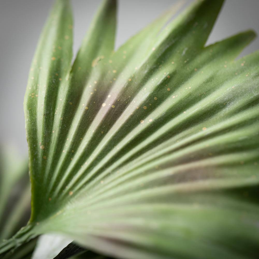 36" Lush Dusty Green Outdoor Artificial Palm Bush