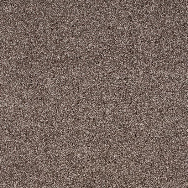 Lifeproof with Petproof Technology Northern Hills I Sanctuary Grey 39 oz. Blend Texture Installed Carpet