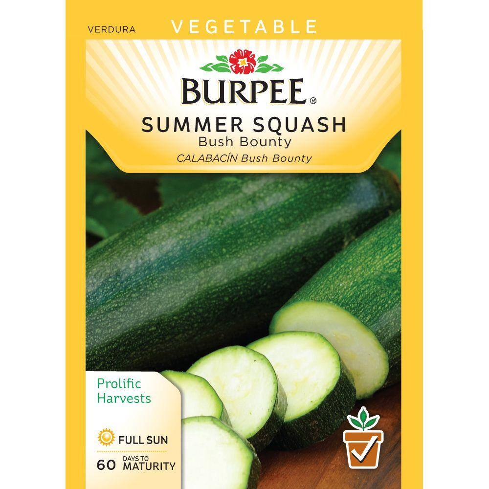 Burpee Squash Summer Bush Bounty Seed 50841 - The Home Depot