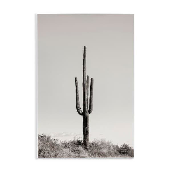 Stupell Industries Clear Afternoon Cactus by Nathan Larson Unframed Nature Graphic Art Print 19 in. x 13 in.