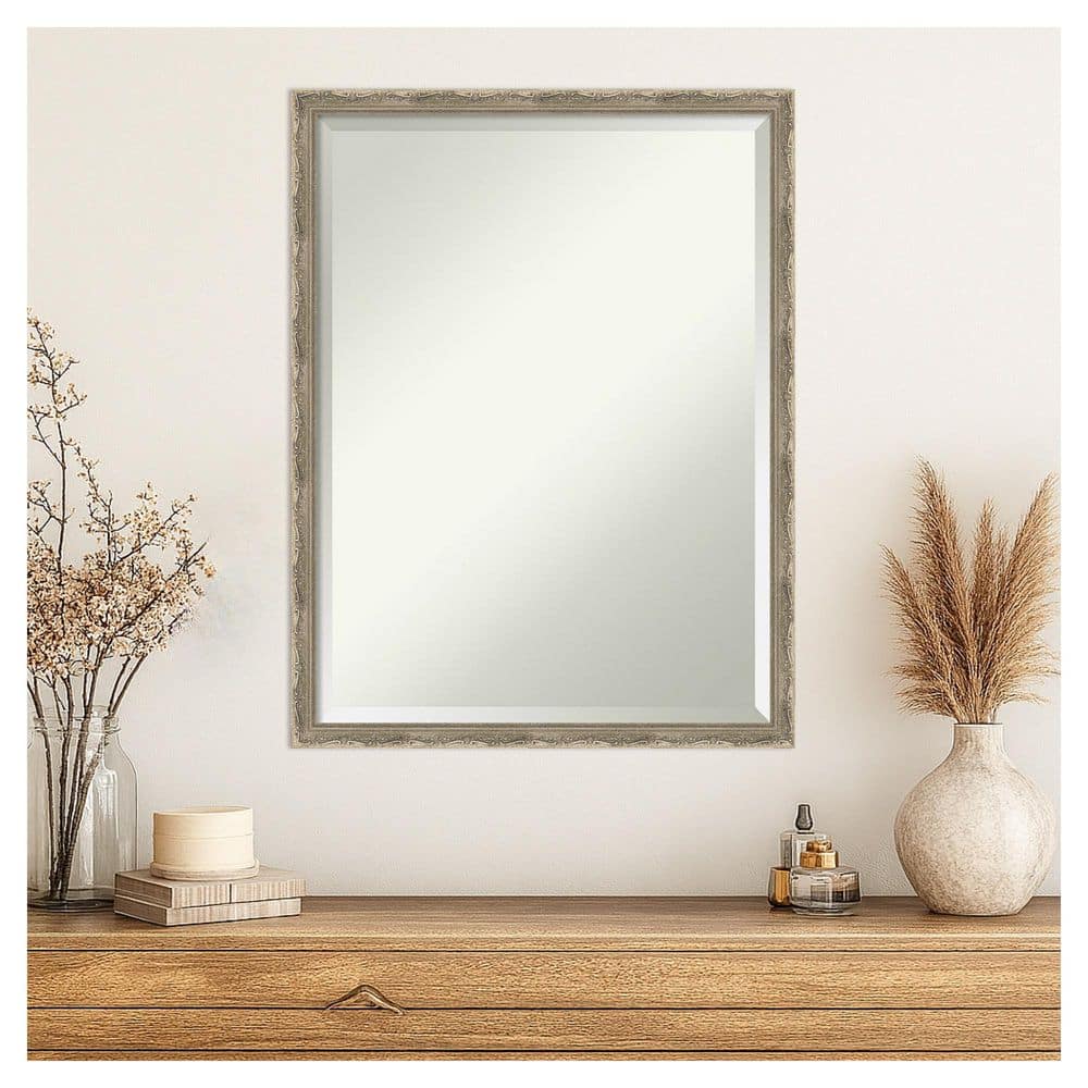 Amanti Art Mila Dark Silver 19.5 in. x 25.5 in. Beveled