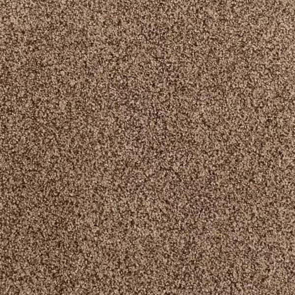 8 in. x 8 in. Texture Carpet Sample-Heartfelt Fashion-Color Outrigger