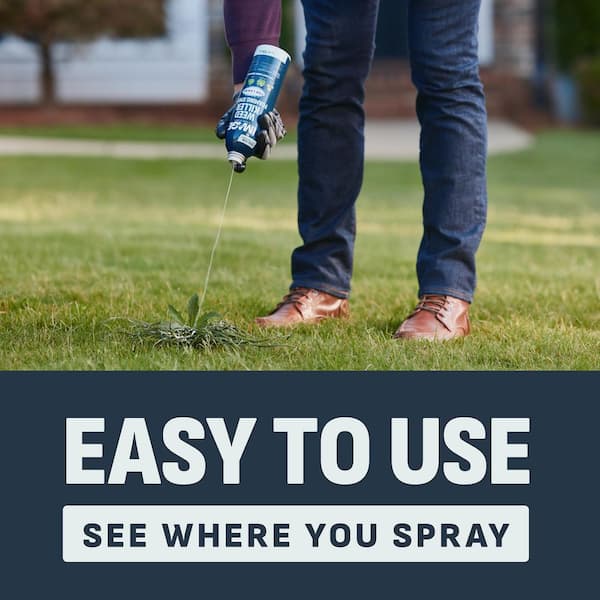 Image 15oz Weed Killer Foaming Spray For Lawns 6/C