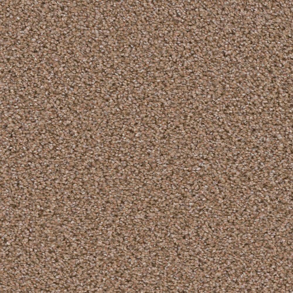 8 in. x  8 in. Texture Carpet Sample - Added Value -Color Investment price history on PriceWatchPro