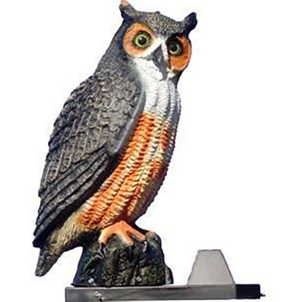 BIRD BARRIER Rotating Owl w/Sound - 4 Predator/Scare Sounds are