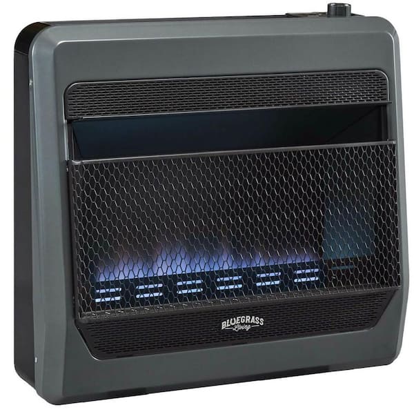 Bluegrass Living 30,000 BTU Propane Gas Vent Free Blue Flame Gas Space Heater With Blower and Base Feet