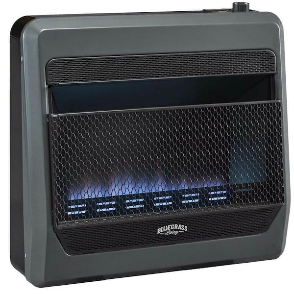 BLUEGRASS LIVING 30,000 BTU Natural Gas Vent Free Blue Flame Gas Space Heater With Blower and Base Feet