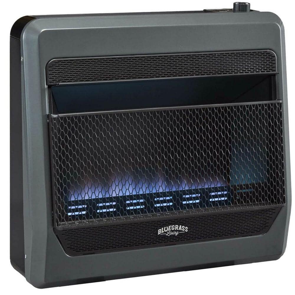 Have a question about BLUEGRASS LIVING 30,000 BTU Propane Gas Vent Free ...